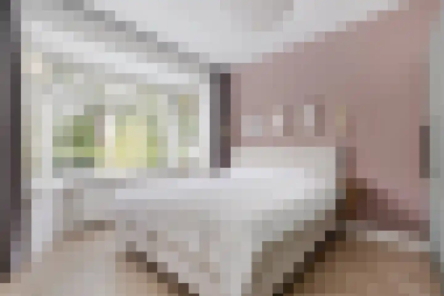 Jan Gijzenkade 11 Haarlem thumbnail 14