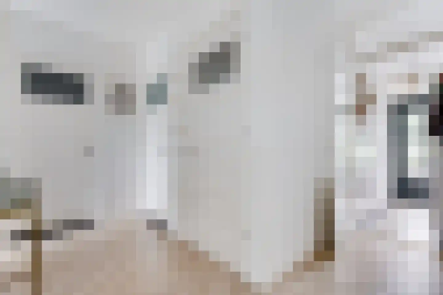 Jan Gijzenkade 11 Haarlem thumbnail 18