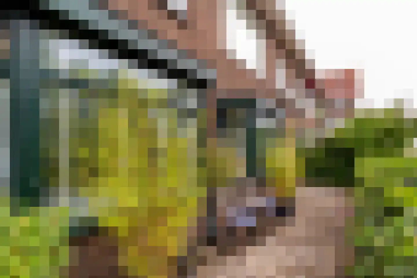 Jan Gijzenkade 11 Haarlem thumbnail 21