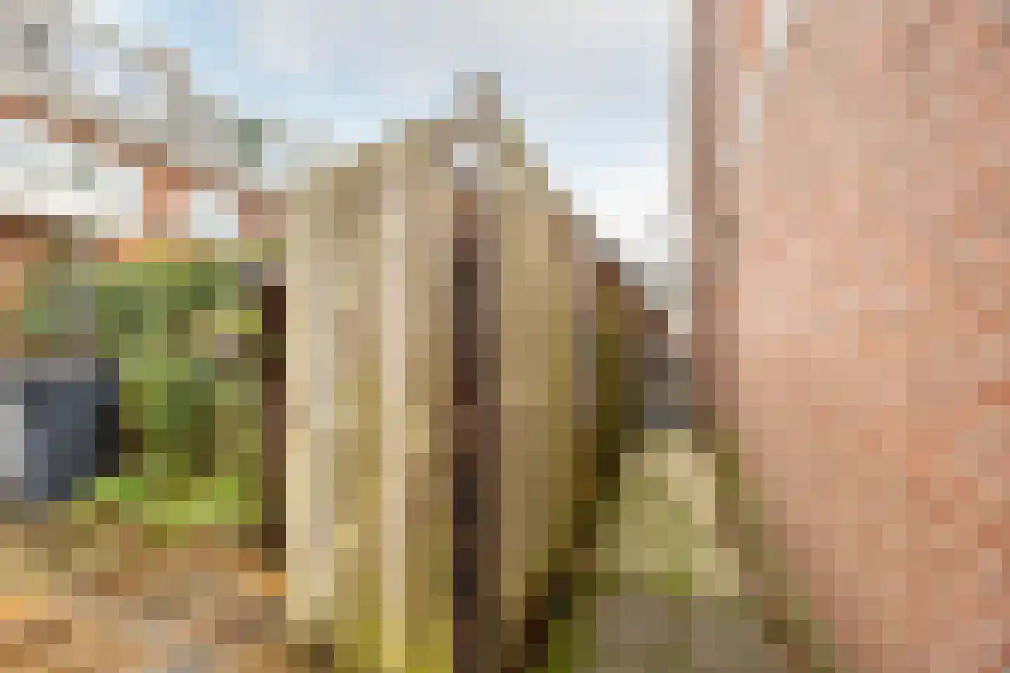 Jan Gijzenkade 157 Haarlem thumbnail 19