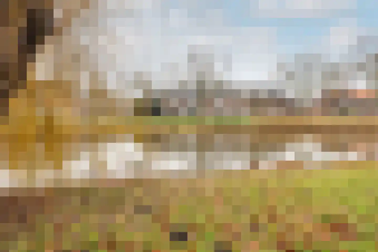 Jan Gijzenkade 157 Haarlem thumbnail 23