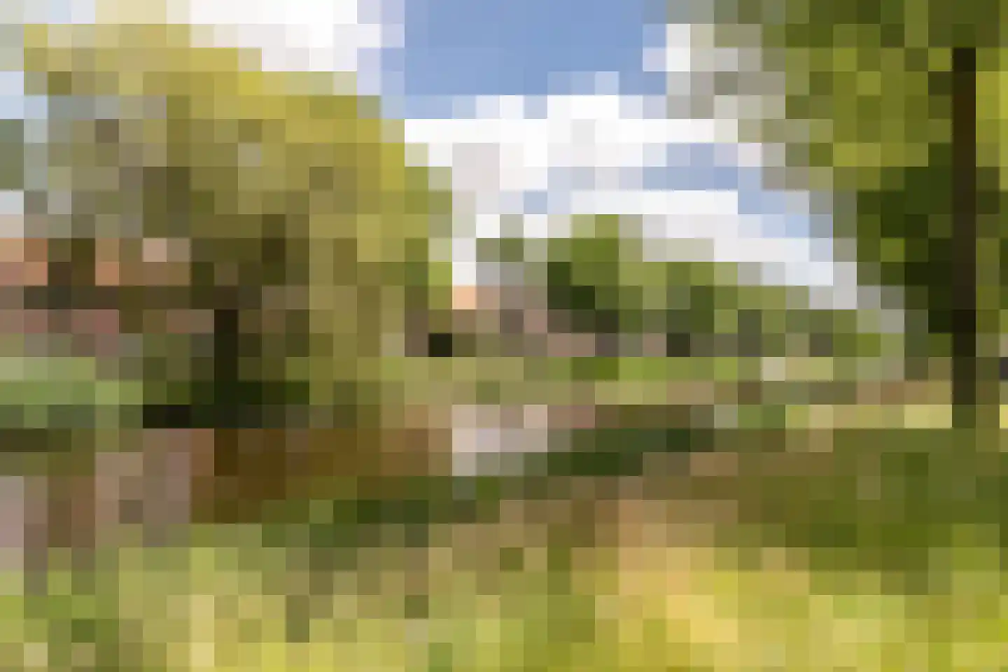 Jan Gijzenkade 190 Haarlem thumbnail 47