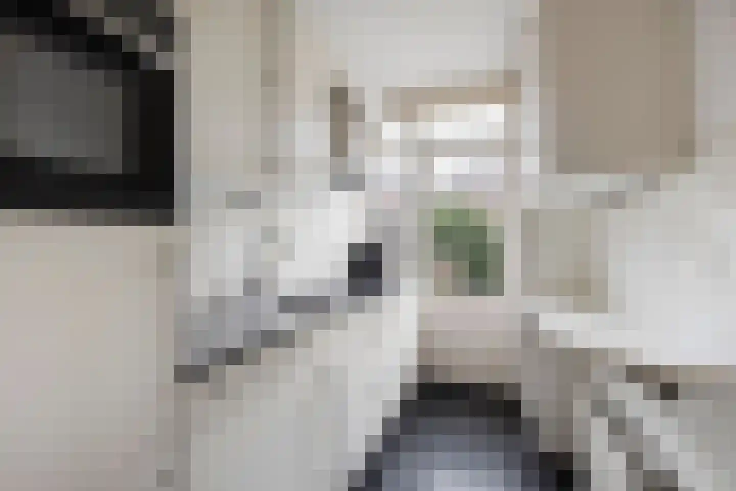 Jan Gijzenkade 237 Haarlem thumbnail 14
