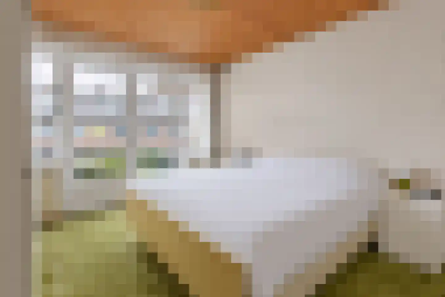 Jan Gijzenkade 237 Haarlem thumbnail 21