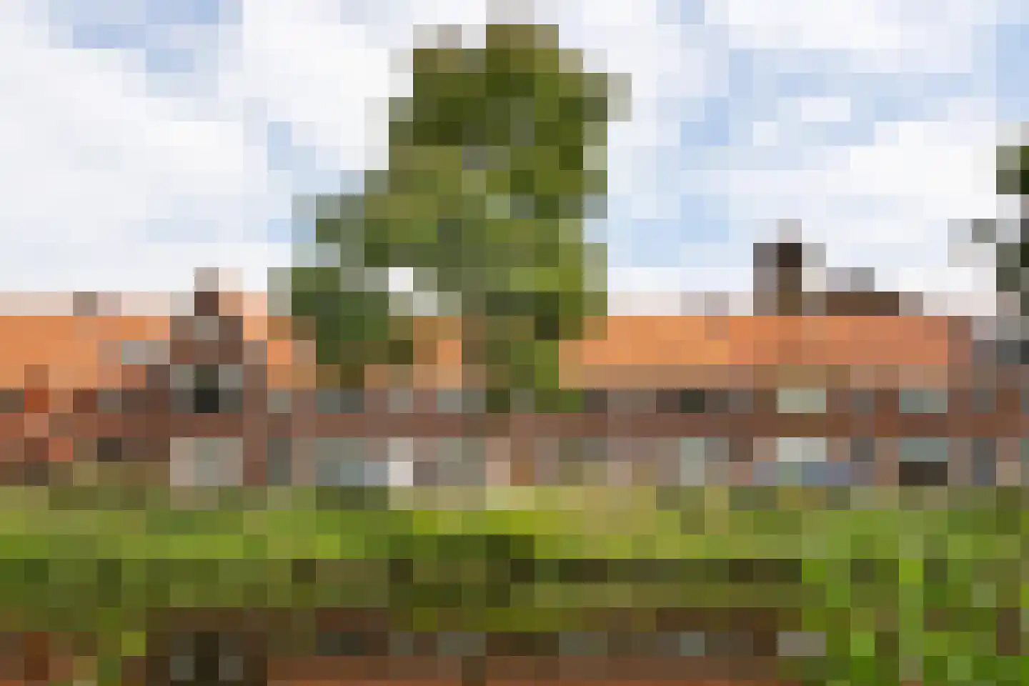 Jan Gijzenkade 237 Haarlem thumbnail 36