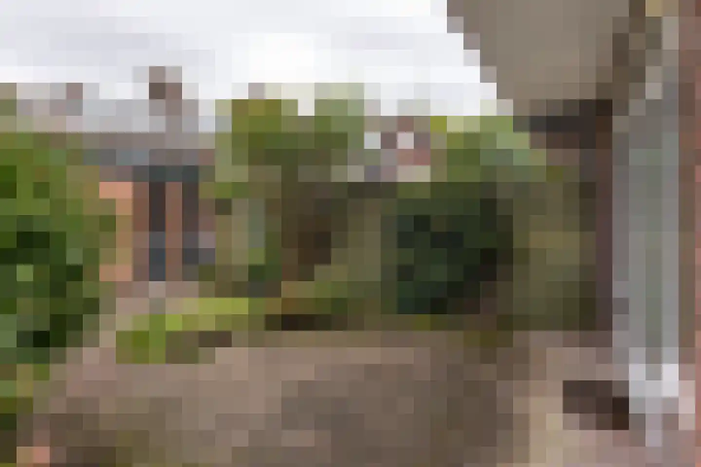 Jan Gijzenkade 237 Haarlem thumbnail 5