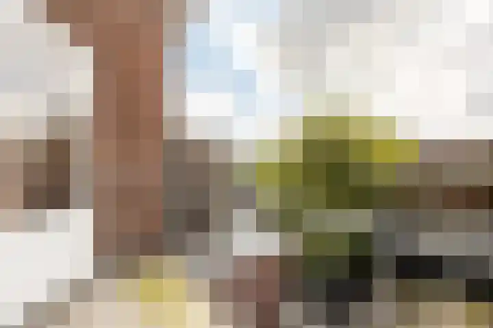 Jan Gijzenkade 256 Haarlem thumbnail 13
