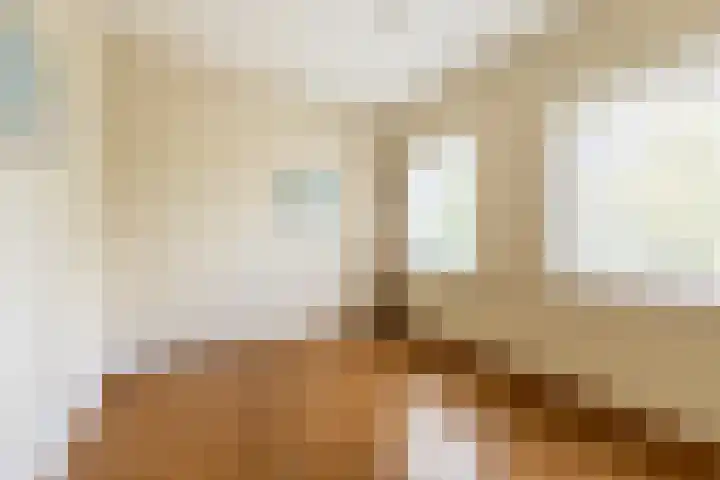 Jan Gijzenkade 256 Haarlem thumbnail 17