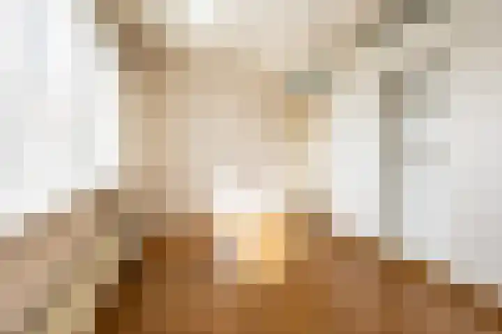 Jan Gijzenkade 256 Haarlem thumbnail 23