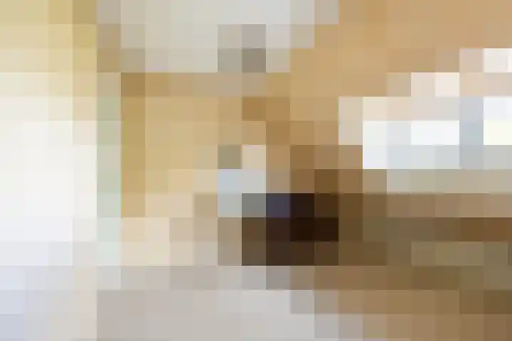 Jan Gijzenkade 256 Haarlem thumbnail 26