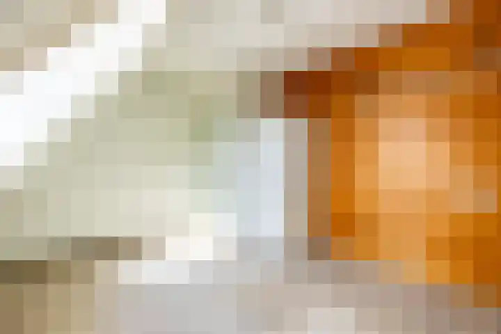 Jan Gijzenkade 256 Haarlem thumbnail 29