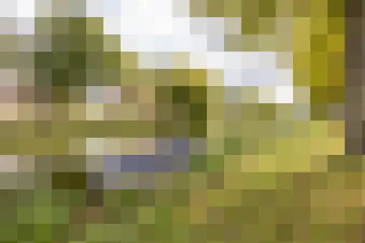 Jan Gijzenkade 256 Haarlem thumbnail 31