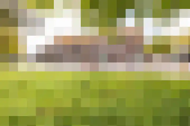 Jan Gijzenkade 256 Haarlem thumbnail 32