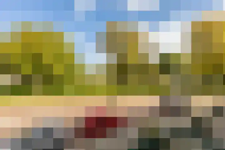 Jan Gijzenkade 256 Haarlem thumbnail 8