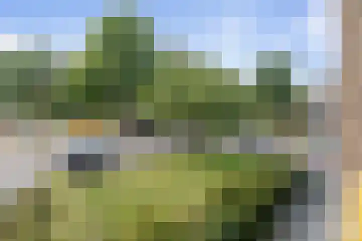 Jan Gijzenkade 309 Haarlem thumbnail 17