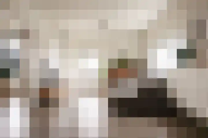 Jan Gijzenkade 343 Haarlem thumbnail 13