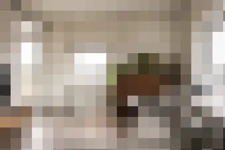 Jan Gijzenkade 343 Haarlem thumbnail 14