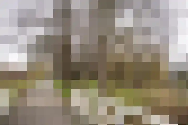 Jan Gijzenkade 343 Haarlem thumbnail 26