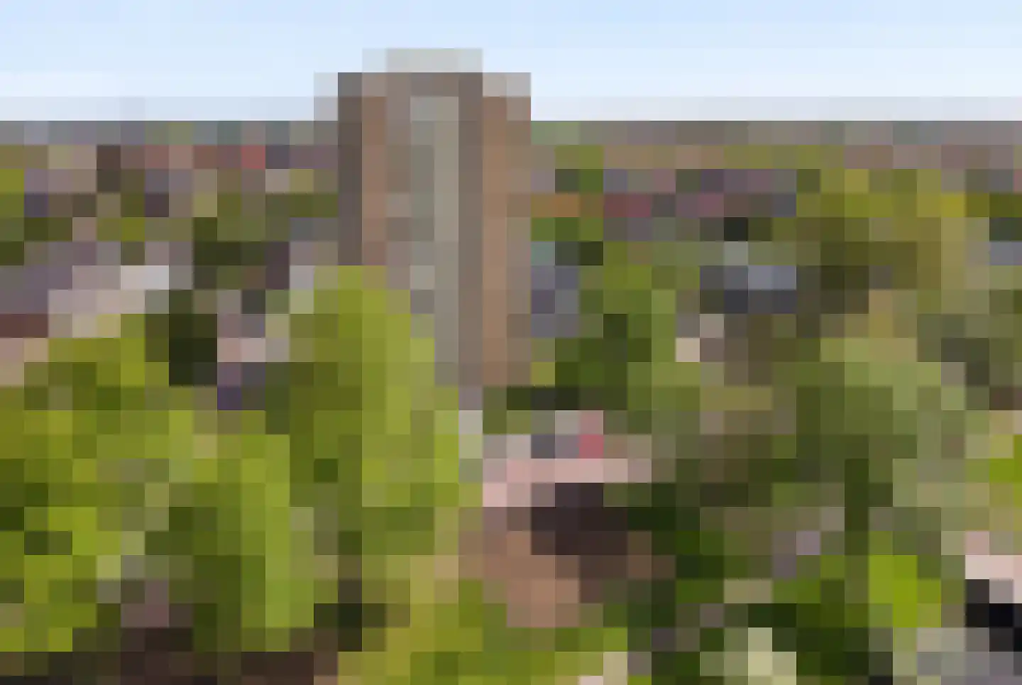 Jan Gijzenkade 375 Haarlem thumbnail 24
