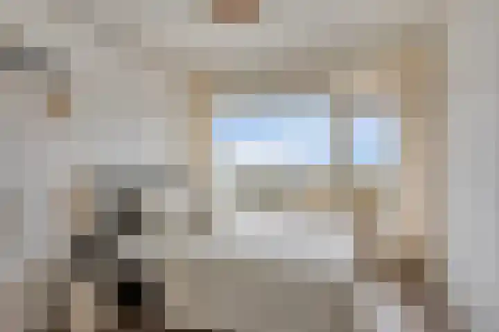 Jan Gijzenkade 389 Haarlem thumbnail 16