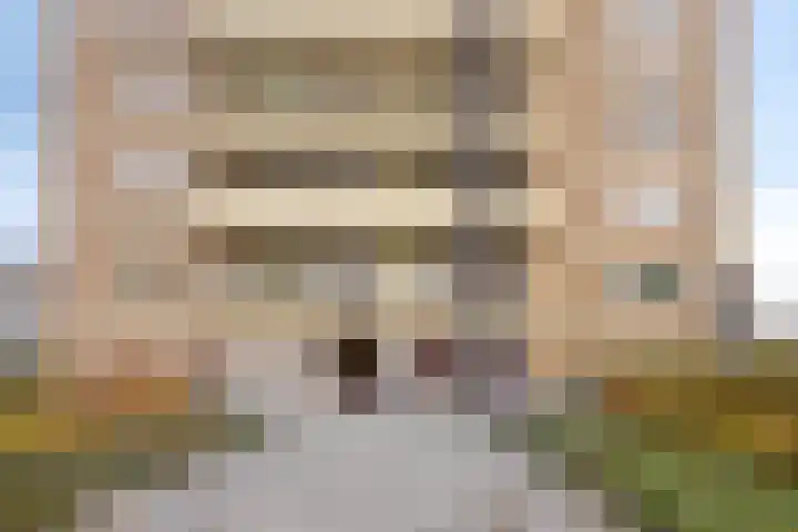 Jan Gijzenkade 389 Haarlem thumbnail 22