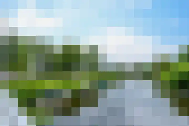 Jan Gijzenkade 389 Haarlem thumbnail 24