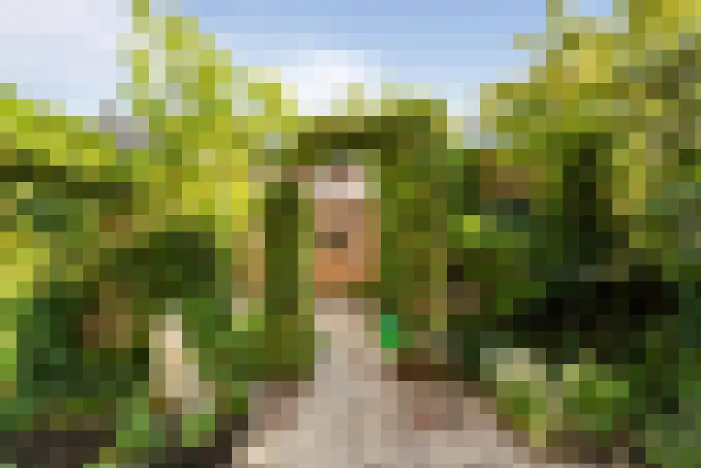 Jan Gijzenkade 77 Haarlem thumbnail 11