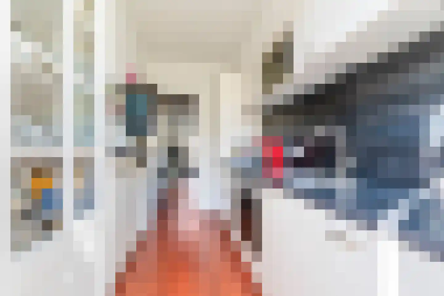 Jan Gijzenkade 77 Haarlem thumbnail 18