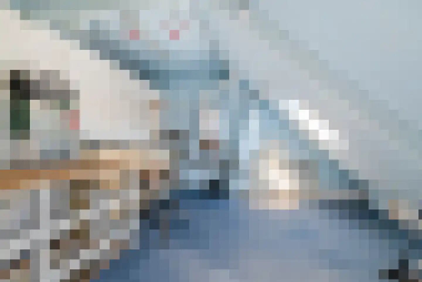Jan Gijzenkade 77 Haarlem thumbnail 34