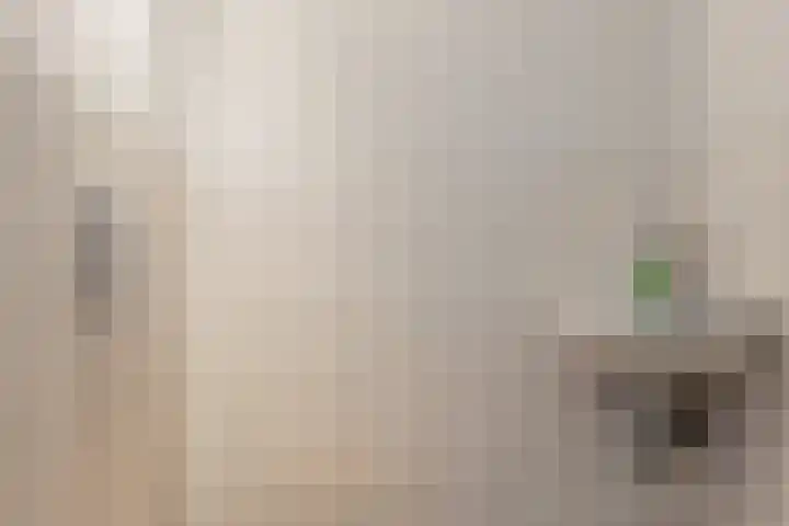 Jan Gijzenkade 79 Haarlem thumbnail 10