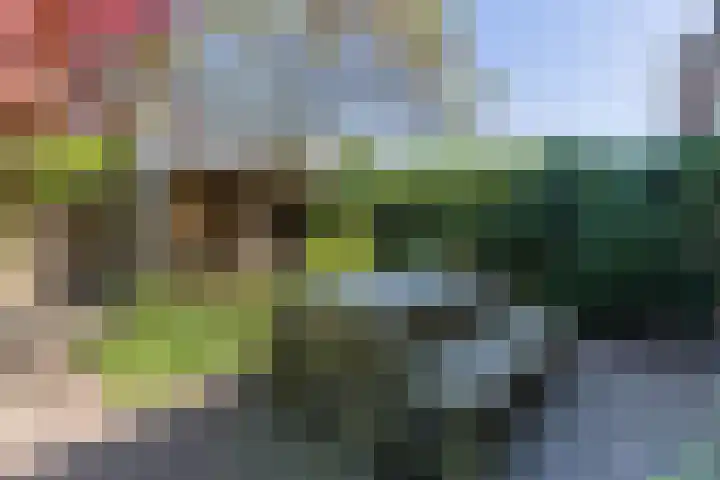 Jan Gijzenkade 79 Haarlem thumbnail 20