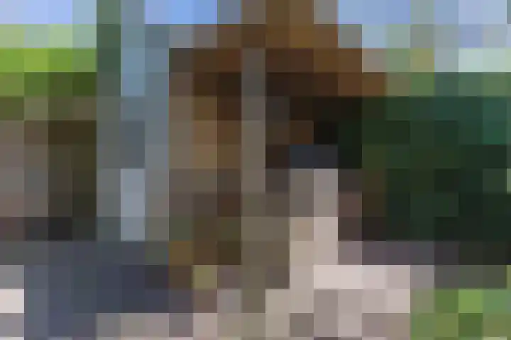 Jan Gijzenkade 79 Haarlem thumbnail 21