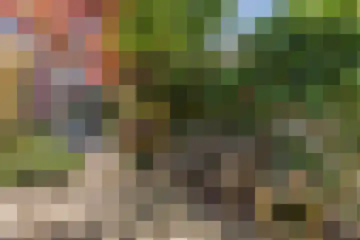 Jan Gijzenkade 79 Haarlem thumbnail 22
