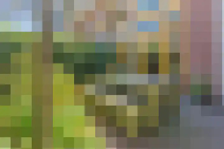 Jan Gijzenkade 79 Haarlem thumbnail 24