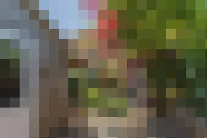Jan Gijzenkade 79 Haarlem thumbnail 5