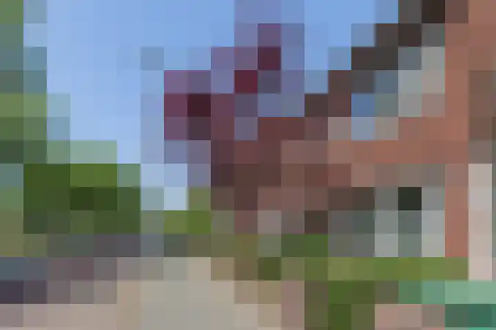 Jan Gijzenkade 79 Haarlem thumbnail 6