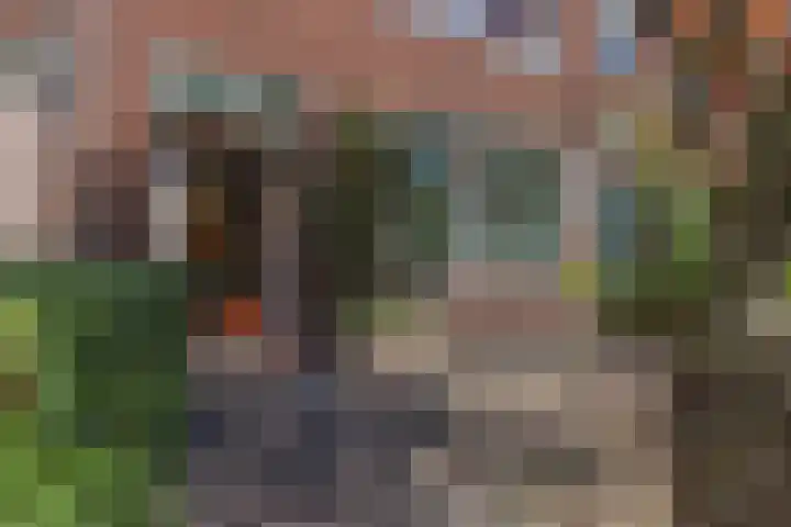 Jan Gijzenkade 79 Haarlem thumbnail 7