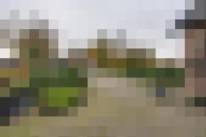 Jan Glijnisweg 115 Heerhugowaard thumbnail 5