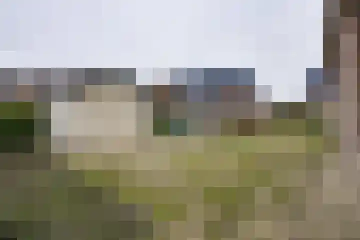 Jan Glijnisweg 115 Heerhugowaard thumbnail 56