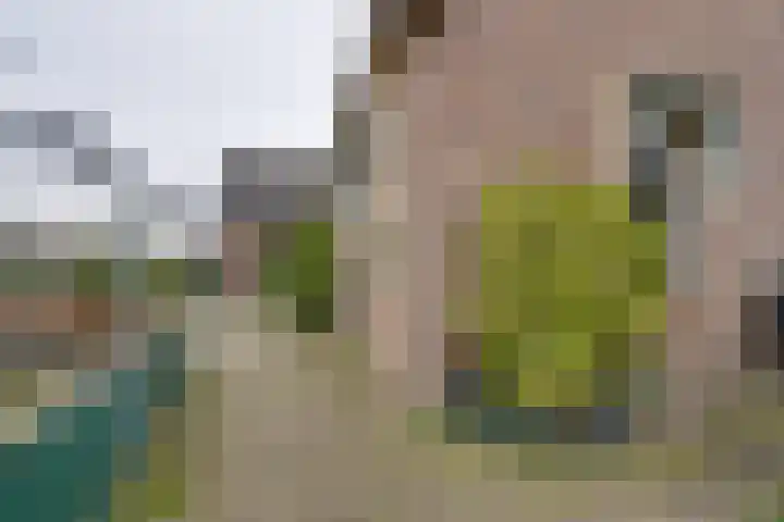 Jan Glijnisweg 115 Heerhugowaard thumbnail 58