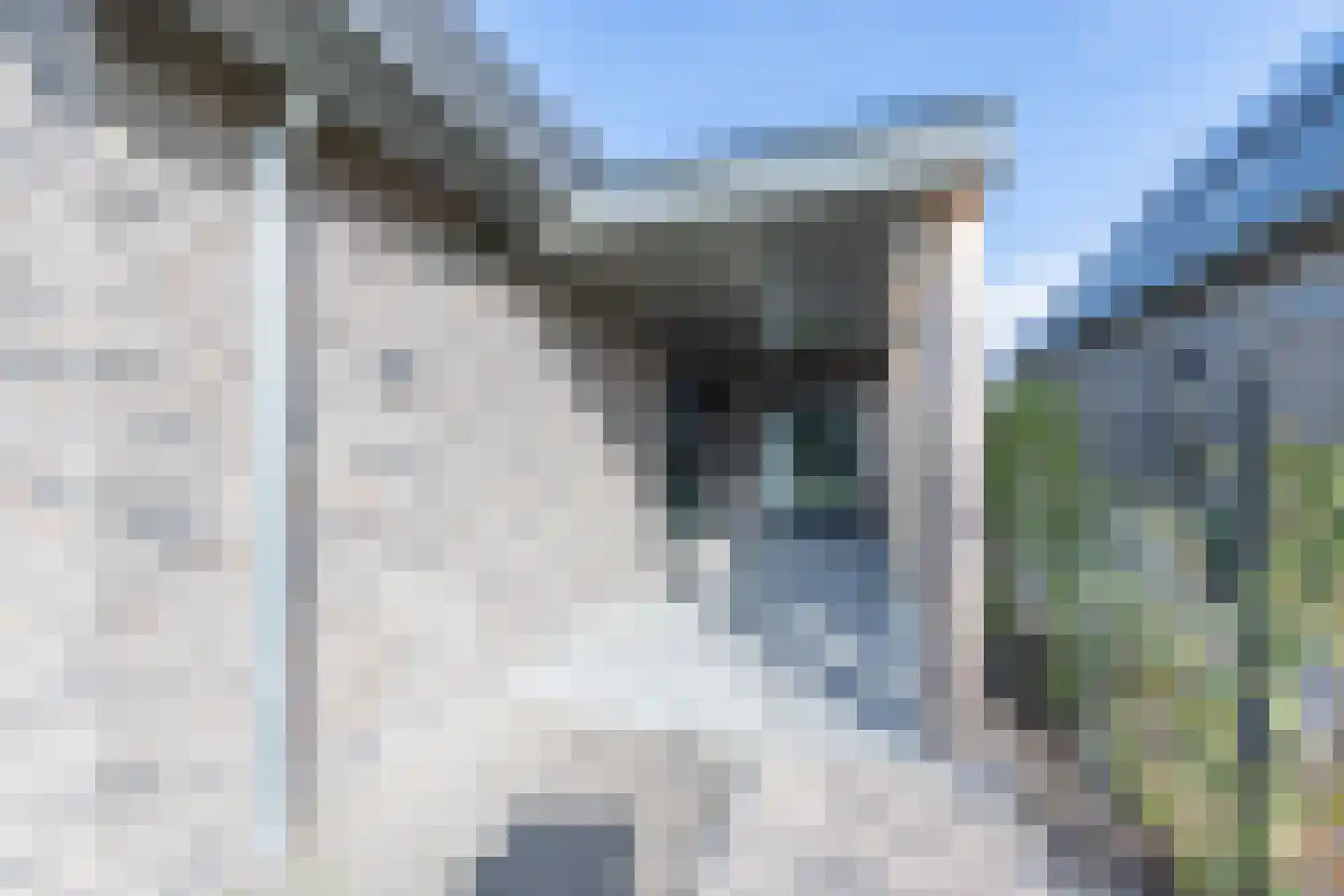 Jan Glijnisweg 117 B Heerhugowaard thumbnail 53
