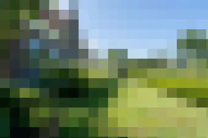 Jan Glijnisweg 14 B Heerhugowaard thumbnail 10