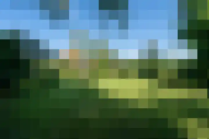 Jan Glijnisweg 14 B Heerhugowaard thumbnail 102