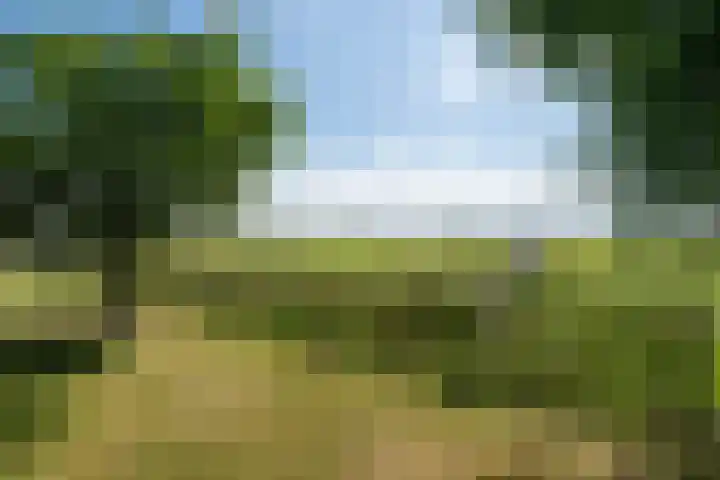 Jan Glijnisweg 14 B Heerhugowaard thumbnail 104