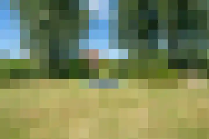 Jan Glijnisweg 14 B Heerhugowaard thumbnail 105