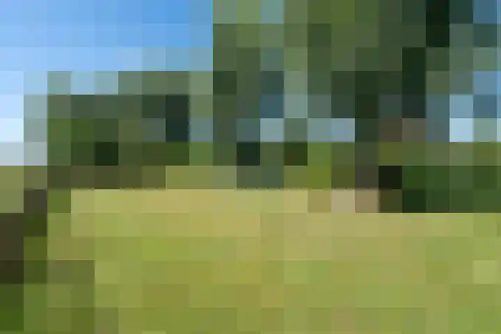 Jan Glijnisweg 14 B Heerhugowaard thumbnail 106