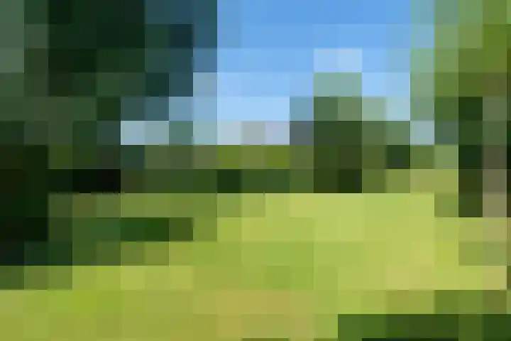 Jan Glijnisweg 14 B Heerhugowaard thumbnail 107