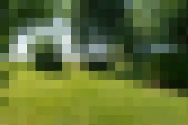 Jan Glijnisweg 14 B Heerhugowaard thumbnail 108