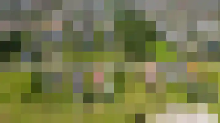 Jan Glijnisweg 14 B Heerhugowaard thumbnail 111