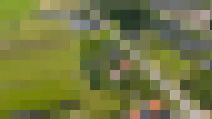 Jan Glijnisweg 14 B Heerhugowaard thumbnail 113